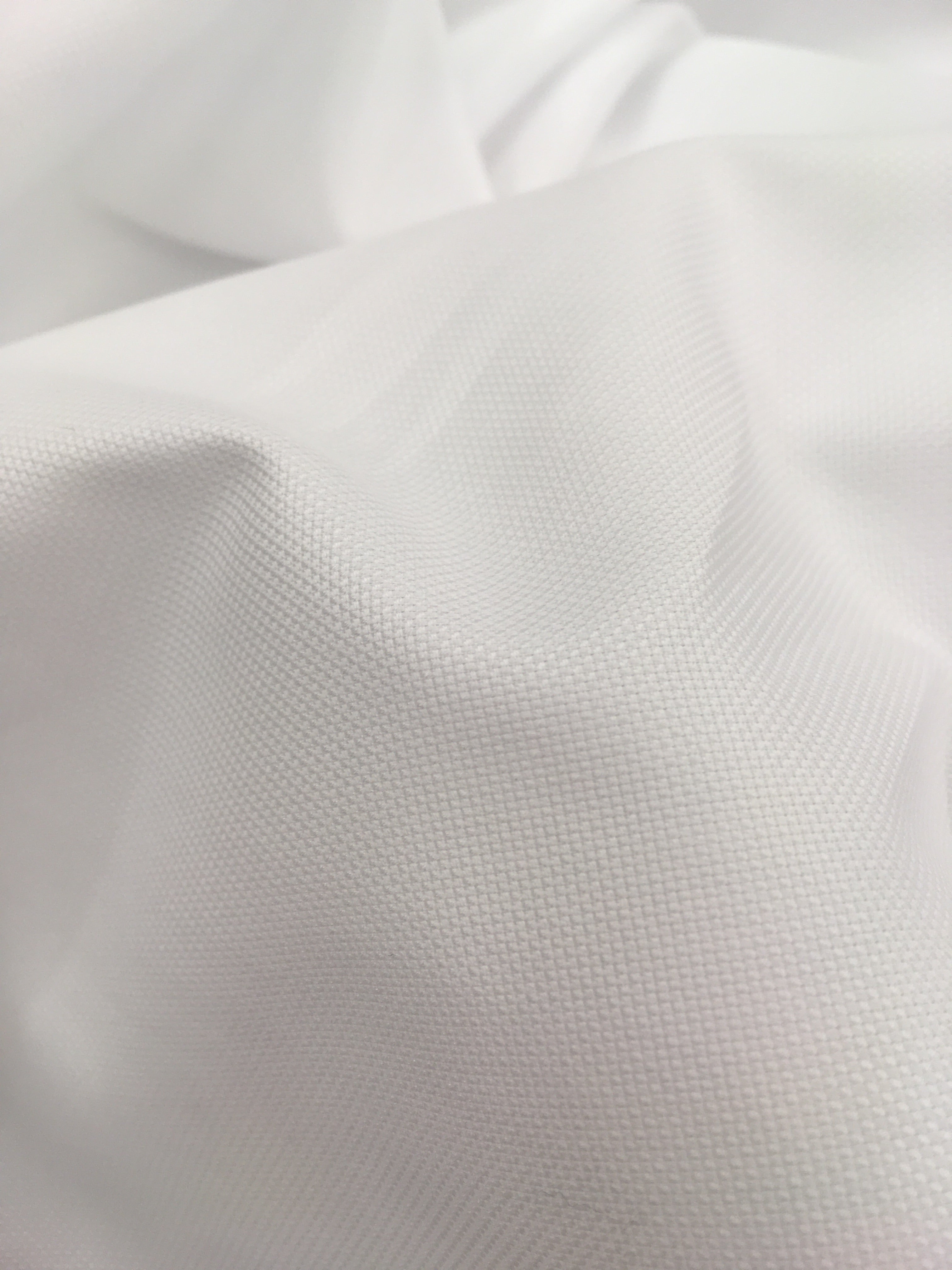 Swiss Organic "Oxford"